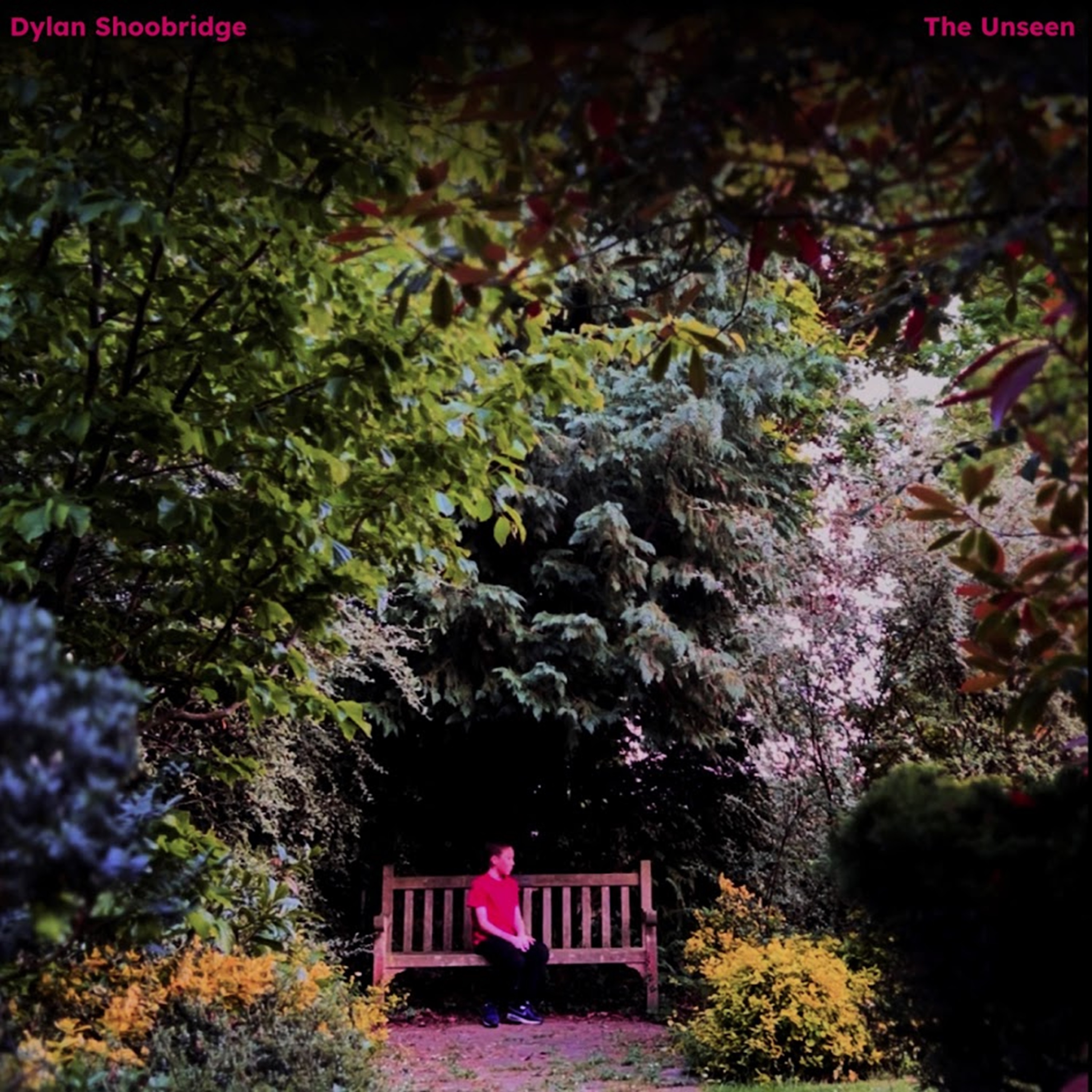 The Unseen Album Cover